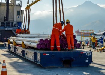  Porto de São Sebastião garante desconto de quase 90% para Cargas Projeto  