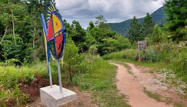 Turismo de Aventura Especial leva pessoas com deficiência do CAPS para passeio na trilha entre Maresias e Paúba