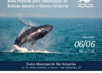 Prefeitura de São Sebastião promove Oficina de Boas Práticas para Observação de Baleias Jubarte e Outros Cetáceos