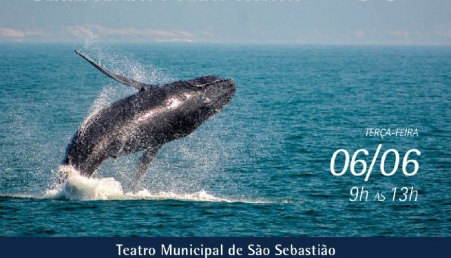 Prefeitura de São Sebastião promove Oficina de Boas Práticas para Observação de Baleias Jubarte e Outros Cetáceos