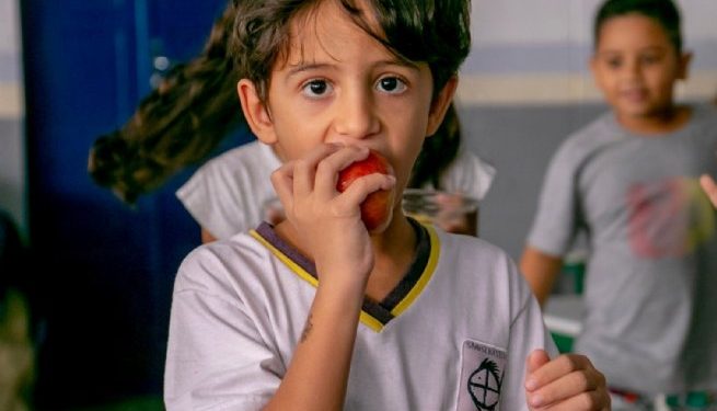 Prefeitura de São Sebastião credencia fornecedores de alimentos da agricultura familiar para a rede municipal de ensino