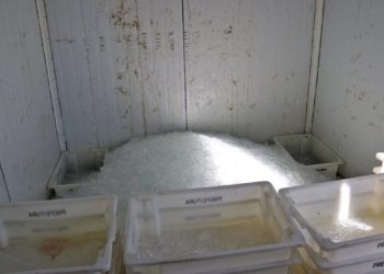 Prefeitura de São Sebastião reativa Fábrica de Gelo e apoia comunidade pesqueira do município