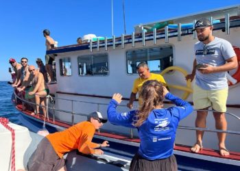 Prefeitura e instituto orientam turistas sobre regras para avistamento de baleias