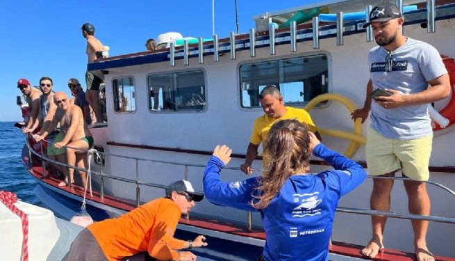 Prefeitura e instituto orientam turistas sobre regras para avistamento de baleias