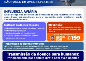 Prefeitura de São Sebastião orienta moradores sobre procedimentos ao encontrar ave suspeita de gripe aviária