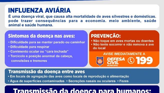 Prefeitura de São Sebastião orienta moradores sobre procedimentos ao encontrar ave suspeita de gripe aviária