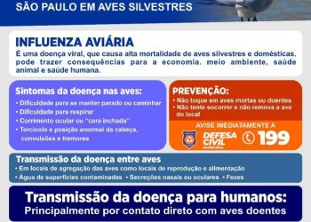 Prefeitura de São Sebastião alerta moradores sobre procedimentos ao encontrar ave com suspeita de gripe aviária