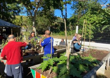 Prefeitura de São Sebastião segue com ações do projeto ‘Horta para Todos’