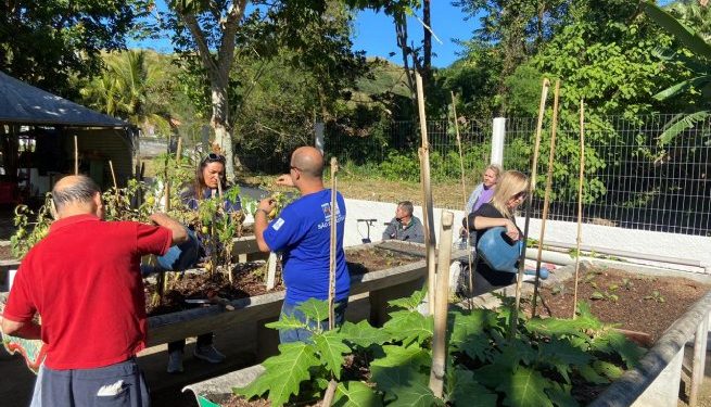 Prefeitura de São Sebastião segue com ações do projeto ‘Horta para Todos’