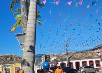 Defesa Civil de São Sebastião retira Palmeira Imperial em risco de queda na Praça da Matriz