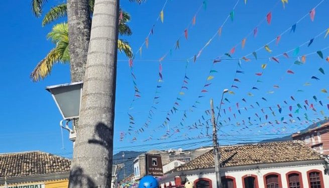 Defesa Civil de São Sebastião retira Palmeira Imperial em risco de queda na Praça da Matriz