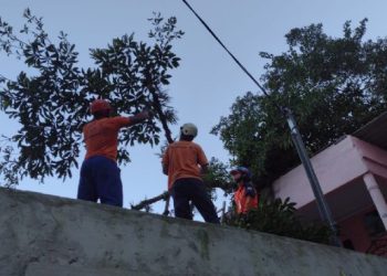 Vendaval derruba árvores na Costa Sul de São Sebastião e prejudica atendimento em unidade de saúde