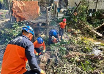 Passagem de ciclone extratropical derruba 21 árvores, interdita quadra de esportes e deixa unidades de saúde sem atendimento