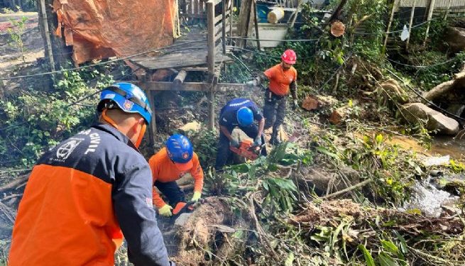 Passagem de ciclone extratropical derruba 21 árvores, interdita quadra de esportes e deixa unidades de saúde sem atendimento