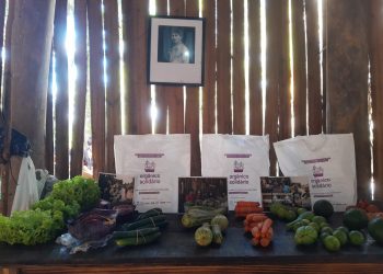 Orgânico Solidário cria Programa de Segurança Alimentar em Ilhabela