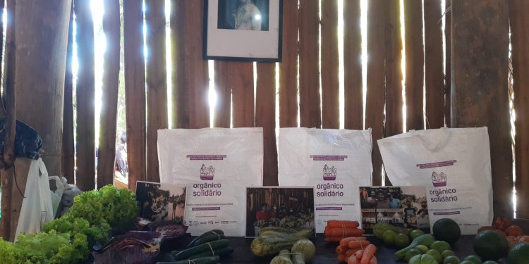 Orgânico Solidário cria Programa de Segurança Alimentar em Ilhabela
