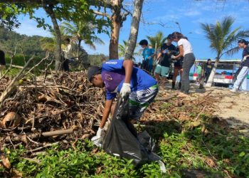 Prefeitura de São Sebastião realiza mutirão de limpeza na Praia de Barra do Una