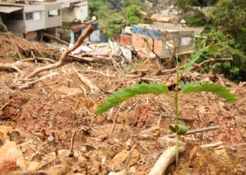 Teatro Municipal de São Sebastião recebe Workshop de Restauração Socioambiental