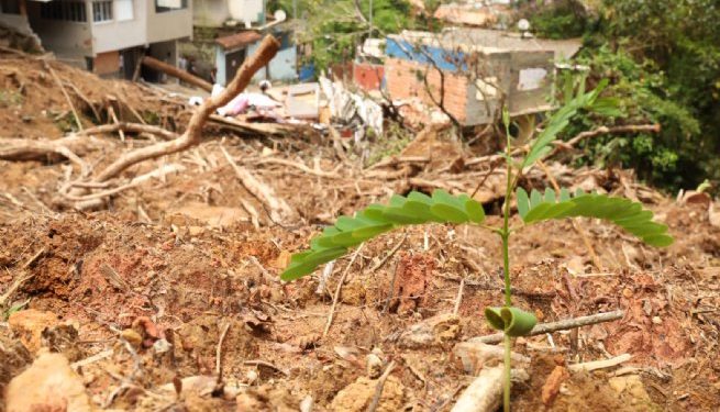 Teatro Municipal de São Sebastião recebe Workshop de Restauração Socioambiental