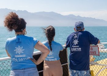 Servidores da SETUR participam de visita técnica e capacitação sobre baleias jubartes no Canal de São Sebastião