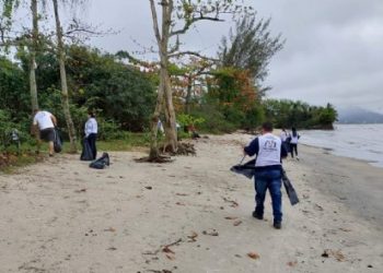 Prefeitura participa de limpeza de Mangue da Enseada em comemoração aos 50 anos da Sabesp