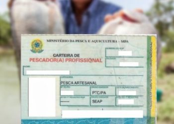 Prefeitura de São alerta para recadastramento de licença para pesca profissional