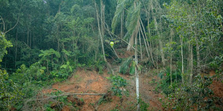  Áreas degradadas por chuvas em São Sebastião (SP) serão reflorestadas por meio de biocápsulas lançadas por drones de alta tecnologia