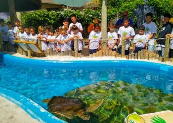Crianças do Projeto Garoçá visitam Tamar em Ubatuba