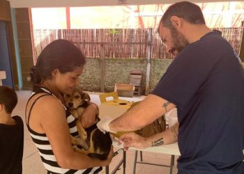Centro de Controle de Zoonoses de São Sebastião disponibiliza vacinação gratuita contra a raiva