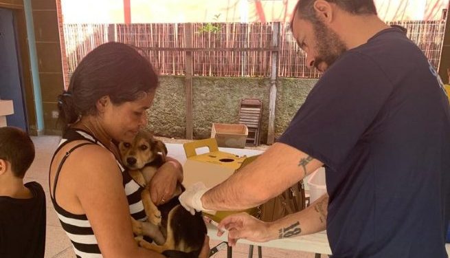 Centro de Controle de Zoonoses de São Sebastião disponibiliza vacinação gratuita contra a raiva