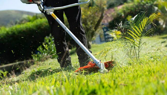 Prefeitura de São Sebastião adquire novos equipamentos de limpeza urbana