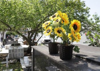 Secretaria de Saúde pede atenção a uso de vasos de flores que acumulam água no Dia de Finados para prevenção à dengue