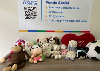 Fundo Social de São Sebastião arrecada 190 brinquedos na Festa do Servidor