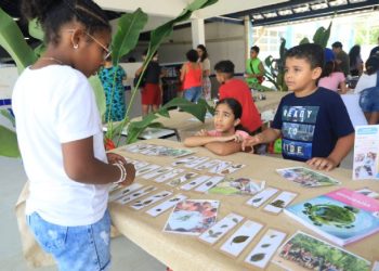 2ª Edição da Feira da Cultura Empreendedora nas Escolas de São Sebastião promove inovação e criatividade entre estudantes