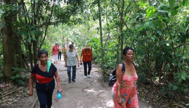 Idosos participam de passeio ecológico na trilha Água Branca em Barra do Una