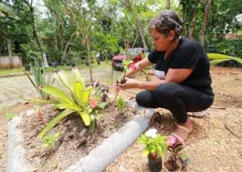 Centro Integrado Profissionalizante encerra segunda turma do curso de jardinagem