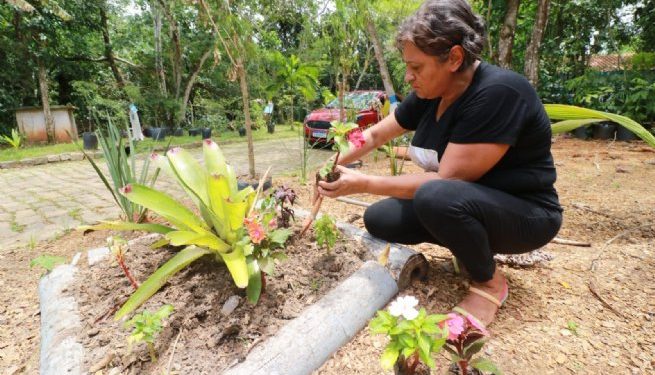 Centro Integrado Profissionalizante encerra segunda turma do curso de jardinagem