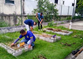 Equipe da Divisão Socioambiental realiza plantio de horta inclusiva no CAPS da Topolândia