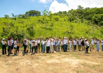 Estudantes lançam mais de 6 mil bolas de semente para reflorestar área degradada em São Sebastião