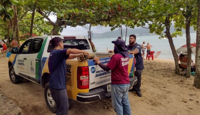 Equipe de Fiscalização realiza ação de demolição de cercamento em área pública