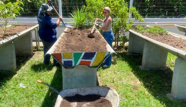 Agentes da Divisão Socioambiental realizam manutenção das hortas do Lar Vicentino e Caps Topolândia