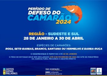 Período de defeso do camarão começa no domingo, dia 28