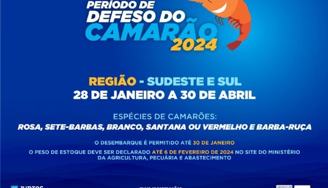 Período de defeso do camarão começa no domingo, dia 28