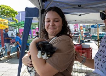 Prefeitura de São Sebastião realiza Feira de Adoção de Gatos nesta sexta-feira