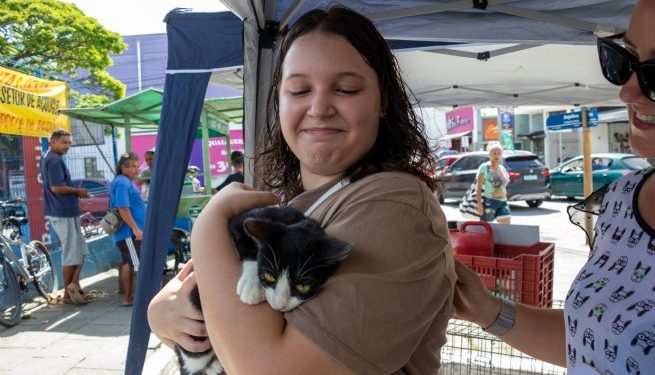 Prefeitura de São Sebastião realiza Feira de Adoção de Gatos nesta sexta-feira