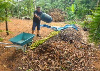 Viveiro Municipal recebe doações de hortaliças para compostagem