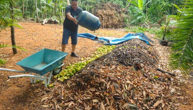 Viveiro Municipal recebe doações de hortaliças para compostagem