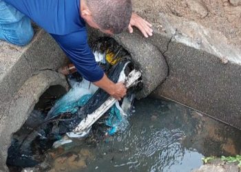 Prefeitura de São Sebastião reforça ações de limpeza em córregos e galerias para prevenir alagamentos