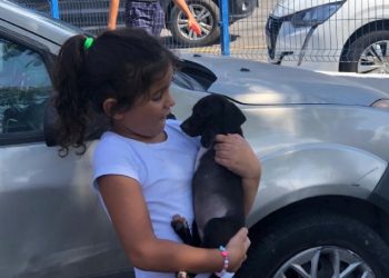 Centro de Controle de Zoonoses de São Sebastião realiza feira de adoção de cães e gatos, nesta sexta-feira, na Praça do Coreto
