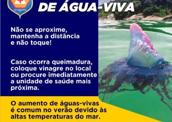SAMU e Defesa Civil de São Sebastião orientam como proceder em casos de acidentes com águas-vivas